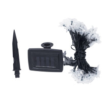 USL-S-137/PT5000 SAKURA