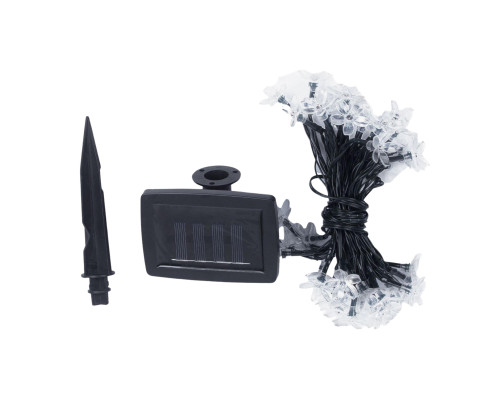 USL-S-137/PT5000 SAKURA