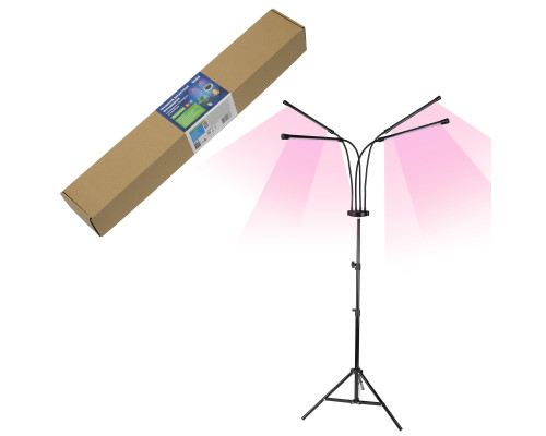 ULT-P32-36W/SPLE/TM/40 IP40 BLACK QUAD