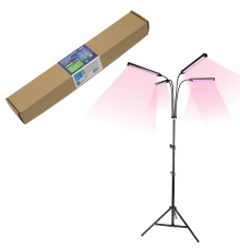 ULT-P32-60W/SPLE/TM/40 IP40 BLACK QUAD