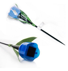 USL-C-454/PT305 BLUE TULIP