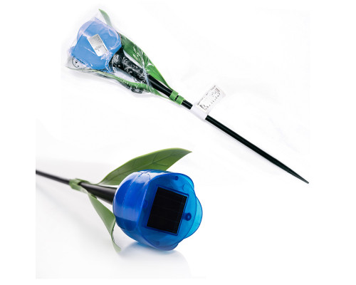 USL-C-454/PT305 BLUE TULIP