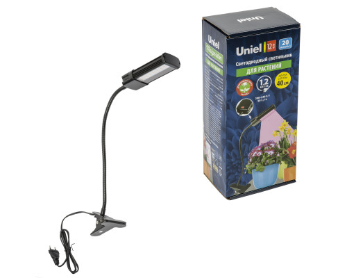 ULT-P31-12W/SPLE/40 IP40 BLACK SINGLE