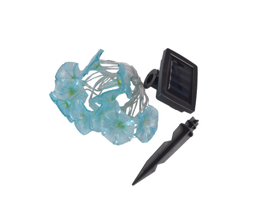 USL-S-136/PT2000 GLORYBIND