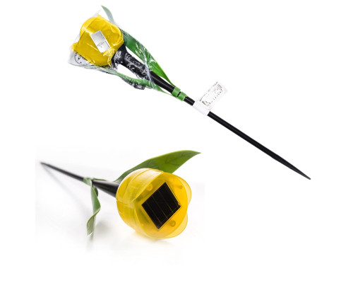 USL-C-452/PT305 YELLOW TULIP
