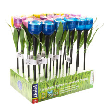 USL-C-651/PT305 TULIP SET 24