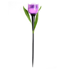 USL-C-453/PT305 PURPLE TULIP