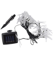 USL-S-123/PT4000 Dragonflies