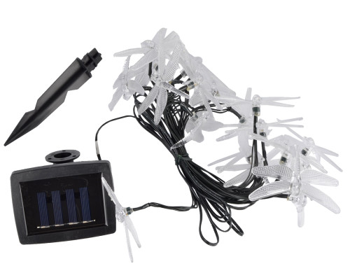 USL-S-123/PT4000 Dragonflies