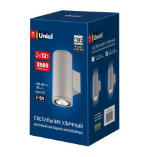 ULU-S22D-2x12W/6400K IP65 LIGHT GREY