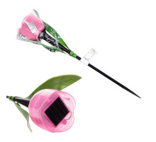 USL-C-451/PT305 PINK TULIP