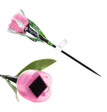 USL-C-451/PT305 PINK TULIP