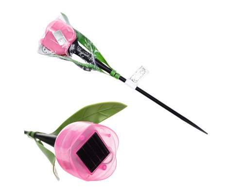 USL-C-451/PT305 PINK TULIP