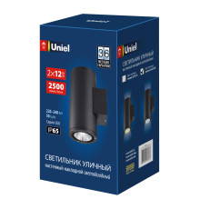 ULU-S22D-2x12W/6400K IP65 BLACK