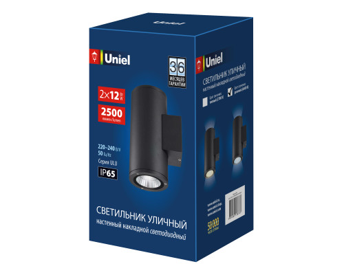 ULU-S22D-2x12W/6400K IP65 BLACK