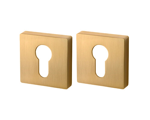 Накладка Armadillo (Армадилло) под цилиндр ET.K.USQ52 (ET USQ) FSG флорентийское золото