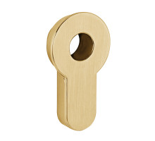 Вставка Fuaro (Фуаро) под шток цилиндра INSERT TANG SSG-39 сатинированное золото 