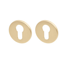 Накладка Armadillo (Армадилло) под цилиндр ET.R.YM FSG-39 флор. золото 