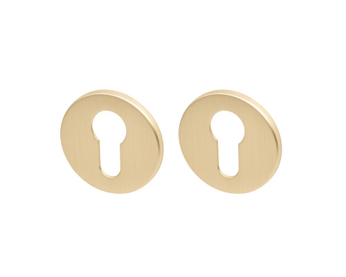 Накладка Armadillo (Армадилло) под цилиндр ET.R.YM FSG-39 флор. золото