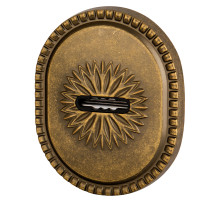 Накладка Armadillo (Армадилло) на сувальдный замок ESC.S-auto.CL/OV (PS-DEC CL / ATC Protector 1) OB-13 античная бронза 