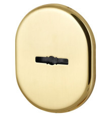 Декоративная накладка Armadillo (Армадилло) на сувальдный замок со шторкой PS-DEC CT (ATC Protector 1) GP-2 Золото 