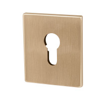 Накладка Armadillo (Армадилло) на цилиндр ESC.C.USS/K (ET Protector/USS) FSG флорентийское золото 