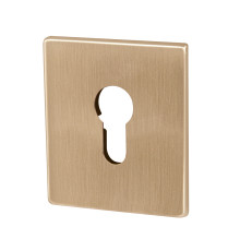 Накладка Armadillo (Армадилло) на цилиндр ESC.C.USS/K (ET Protector/USS) FSG флорентийское золото 