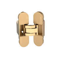 Петля Armadillo (Армадилло) скрытой установки U3D2000.TG FSG флор. золото 