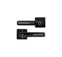 Замок-ручка электронный Hogo R05 с отпечатком пальца, черный 