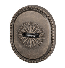 Накладка Armadillo (Армадилло) на сувальдный замок ESC.S-auto.CL/OV (PS-DEC CL) AS-9 античное серебро 