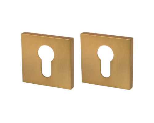 Накладка Armadillo (Армадилло) под цилиндр ET.K.USS52 (ET USS) FSG-39 флорентийское золото