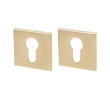 Накладка Armadillo (Армадилло) под цилиндр ET.K.YM FSG-39 флор. золото 