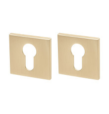 Накладка Armadillo (Армадилло) под цилиндр ET.K.YM FSG-39 флор. золото 