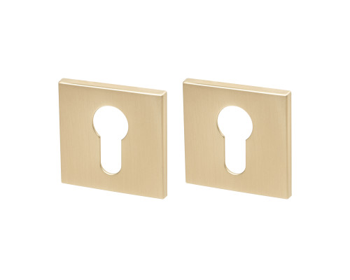 Накладка Armadillo (Армадилло) под цилиндр ET.K.YM FSG-39 флор. золото