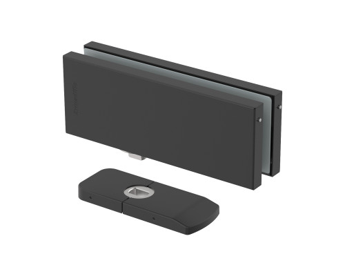 Петля-доводчик Armadillo (Армадилло) для стеклянной двери Range.GL.H10 BL черный