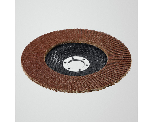 STAYER 125 х 22.2 мм, P80, КЛТ, Круг лепестковый торцевой, Professional (36581-125-080)