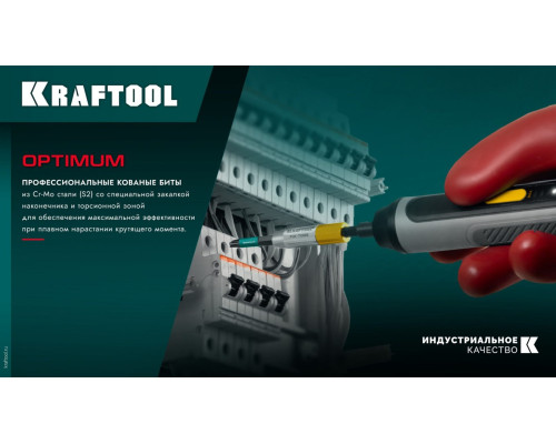 KRAFTOOL OPTIMUM TX 10, 50 мм, 10 шт, биты (26126-10-50-10)