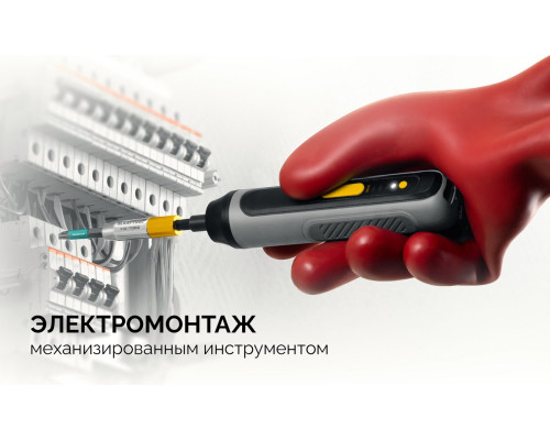 KRAFTOOL OPTIMUM PH/FL 1, 50 мм, 2 шт, биты (261221-1-50-2)
