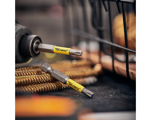 Бита для шуруповерта Torx T25х50 мм (2 шт./уп.) KRANZ