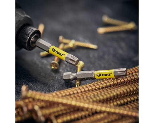 Бита для шуруповерта Torx T40х50 мм (2 шт./уп.) KRANZ