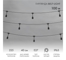 Гирлянда Белт-Лайт 2 жилы, 100м, шаг 40см, 225 подвесных патронов Е27, IP65, черный круглый провод каучук NEON-NIGHT